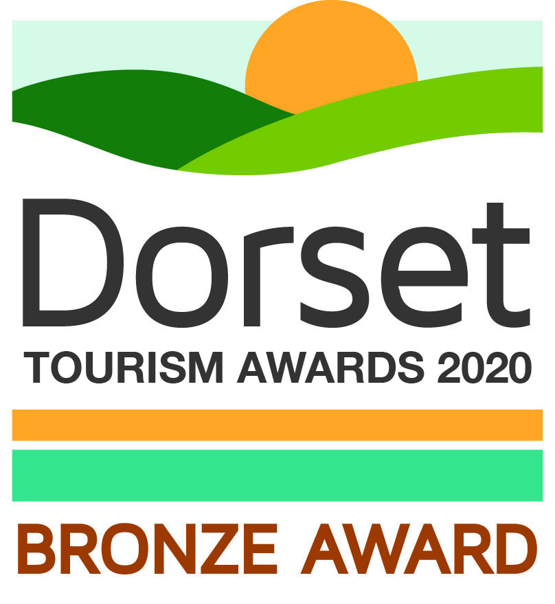 DTA Bronze Award 2020 Logo