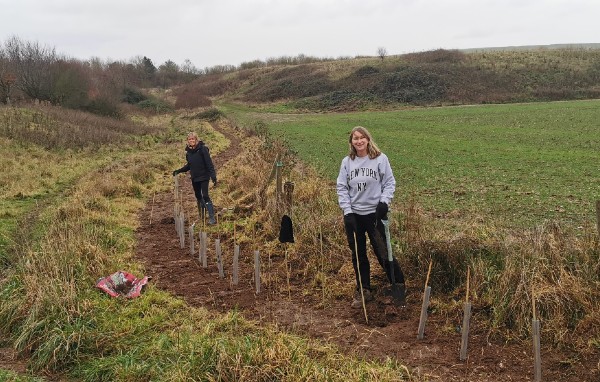 Tree planting Dec 2020_landscape.jpg